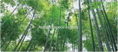 聲泰經營理念