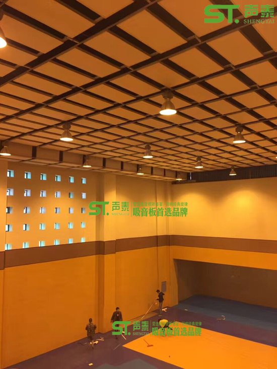 西寧學校體育館墻面木質吸音板(圖1) 西寧學校體育館墻面木質吸音板(圖1)
