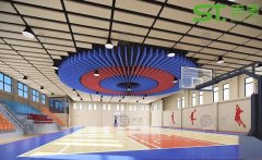 河南鄭州科技學院體育館工程案例